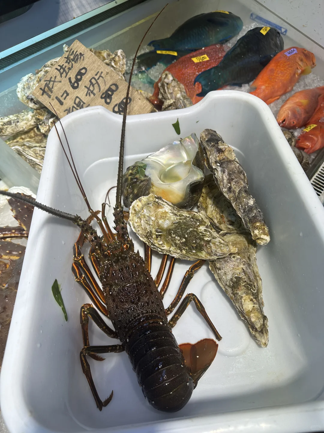 来冲绳你不来海鲜市场吗?