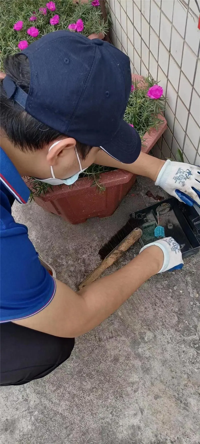 瑞克杀虫灭鼠服务：学校灭鼠：开学...