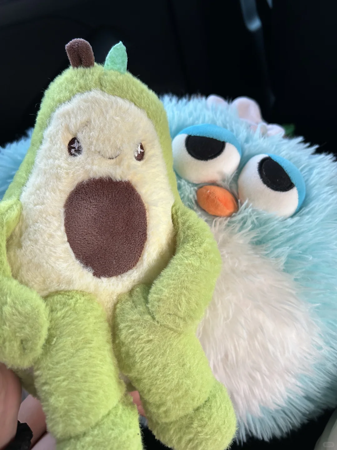 宝安福永，招聘一名采购助理