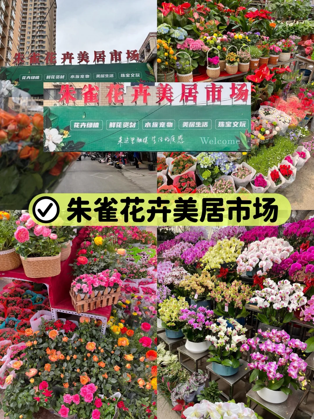 汇总西安14个批发市场‼️全攻略