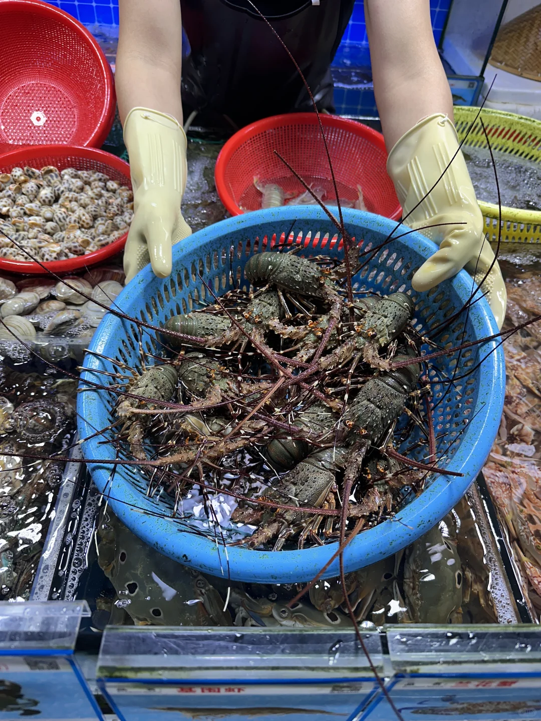 三亚本地人才来逛的市场不仅便宜种类还齐全