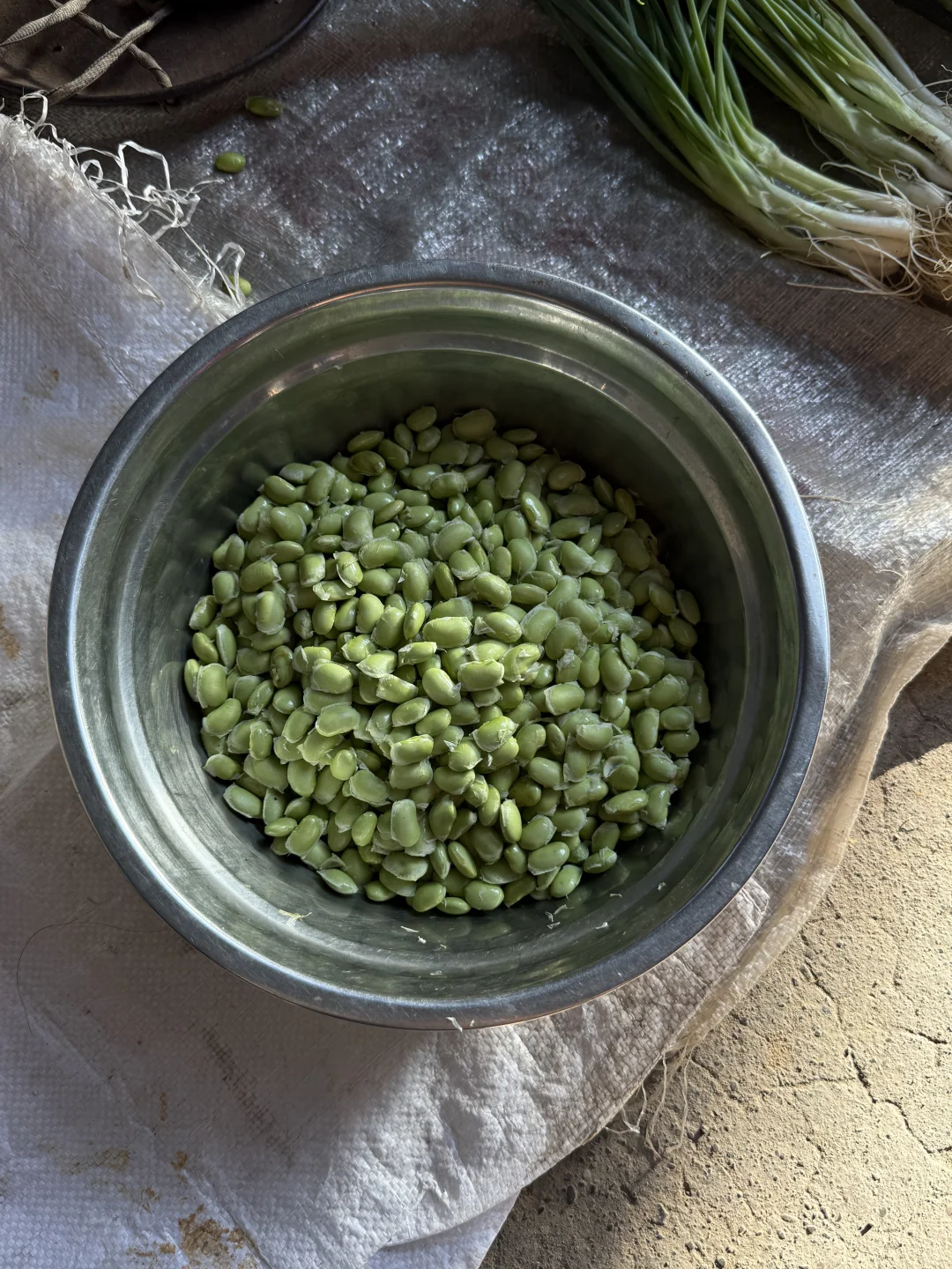 “靠山吃山：大山里这个季节吃啥…..”