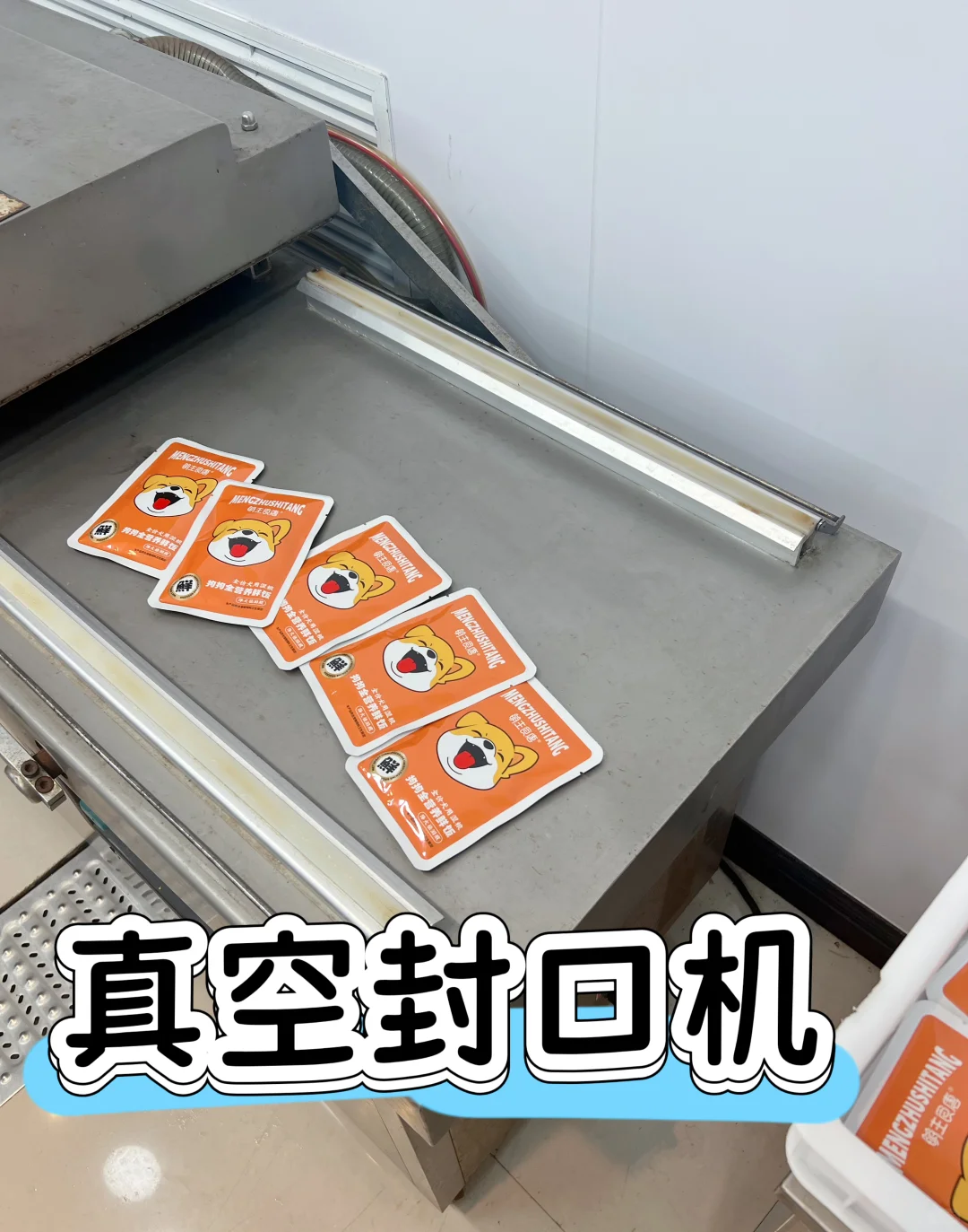 来看看做了17年的宠物食品工厂是什么样的