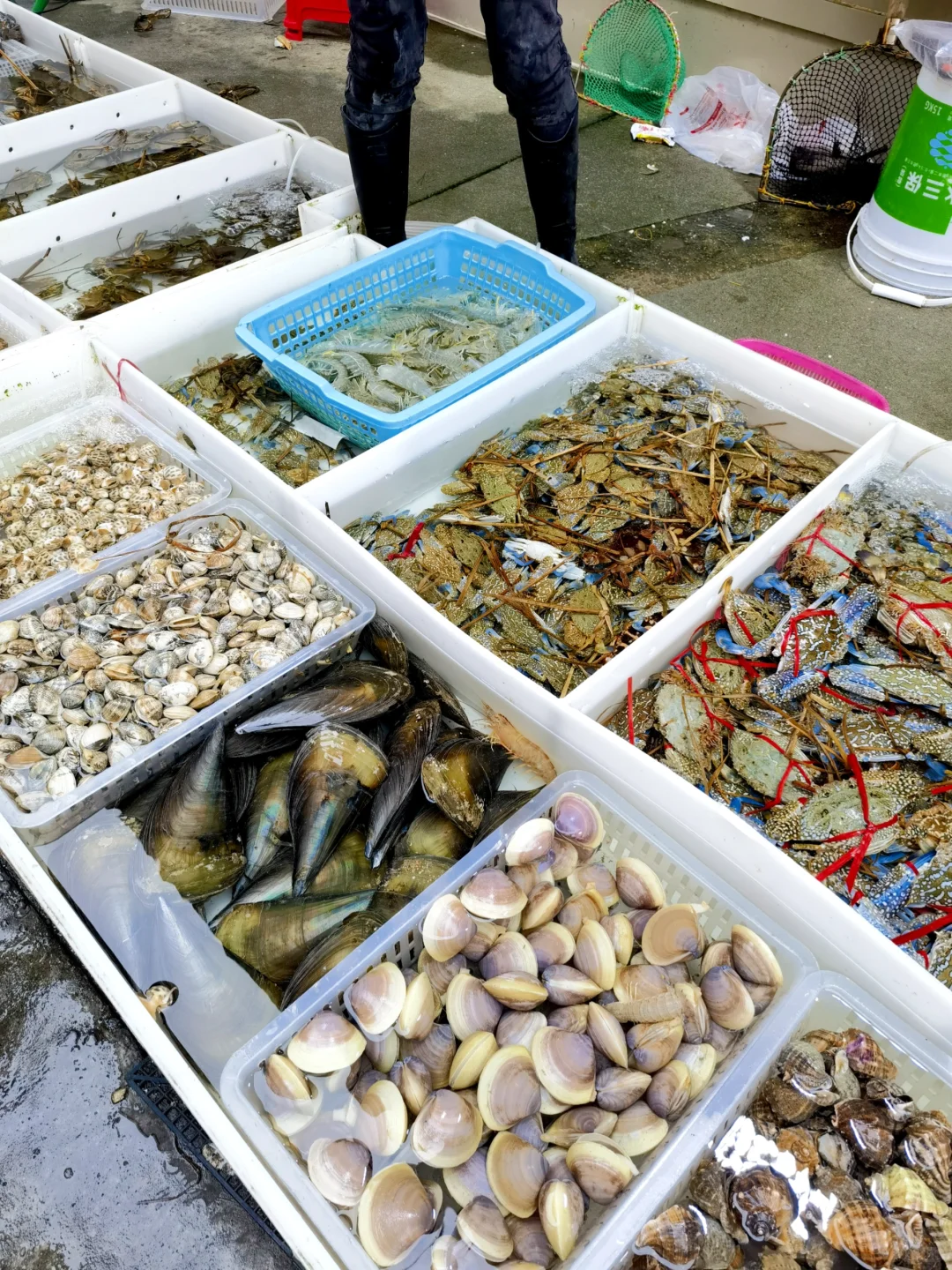 海陵岛海鲜攻略｜海鲜市场+餐馆一条龙