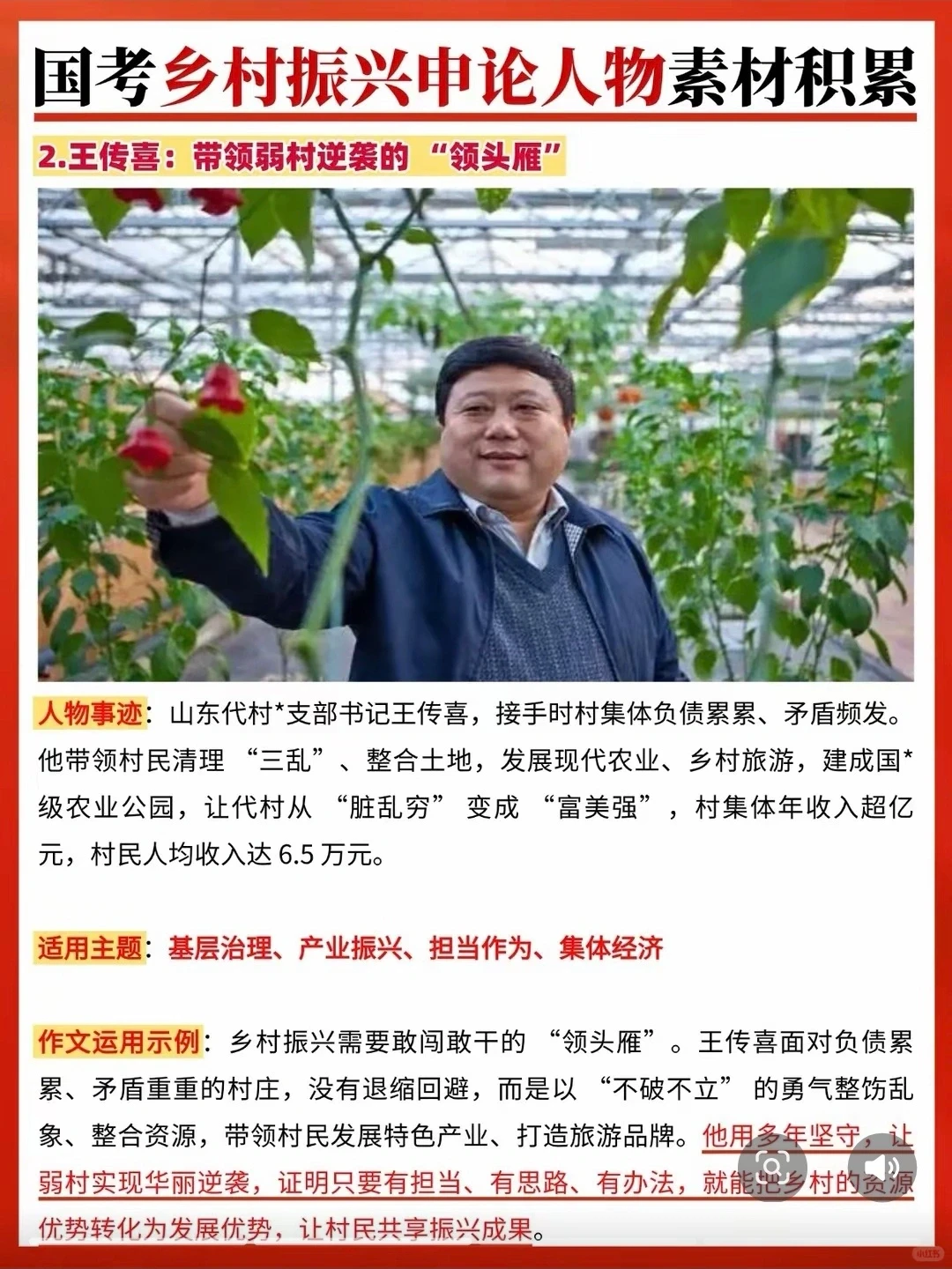 申论作文乡村振兴人物素材