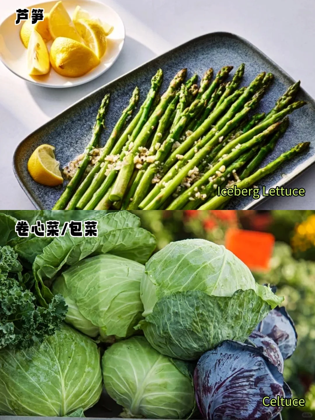 加拿大常见蔬菜中英文对照?叶菜篇