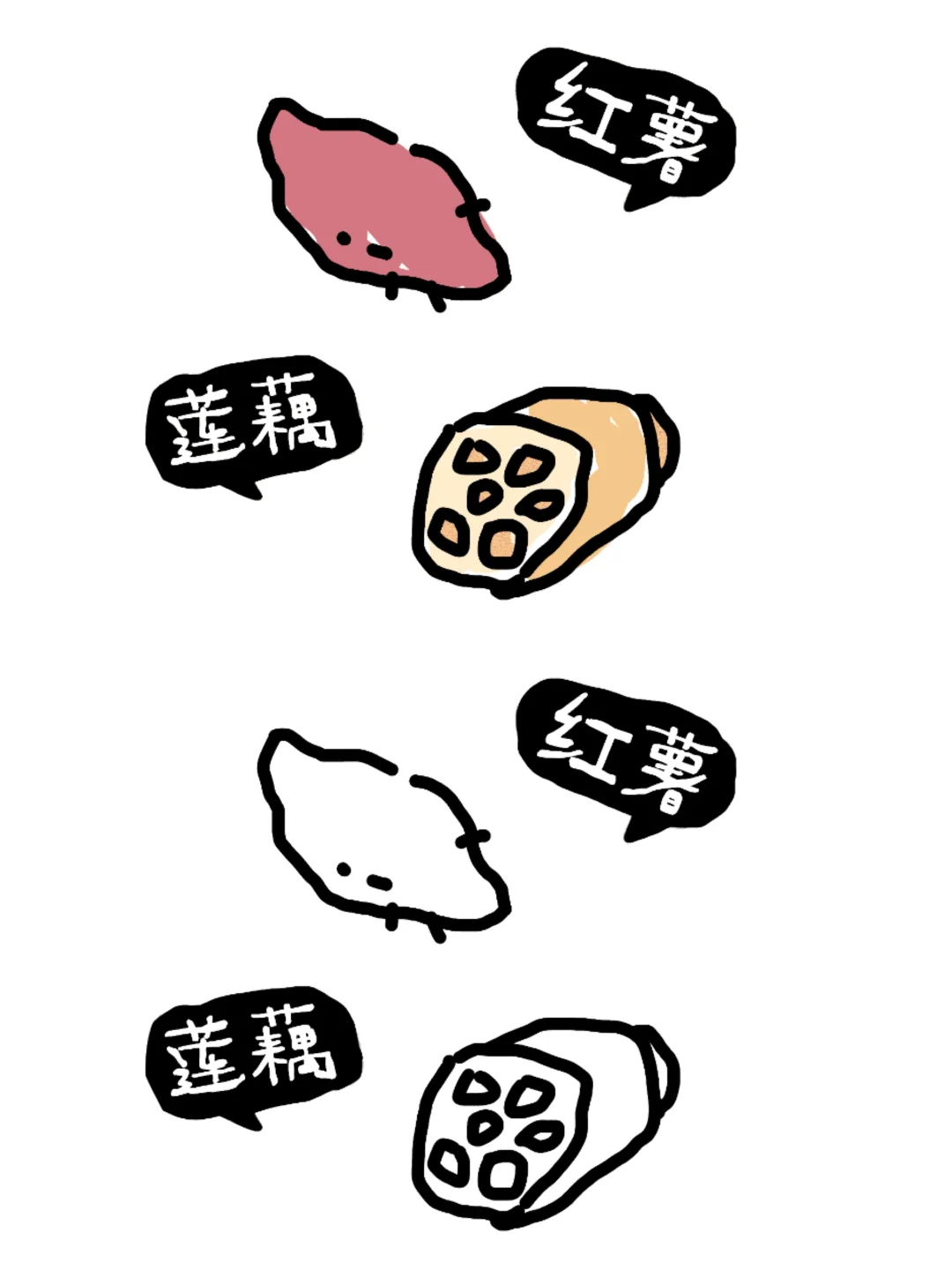 植物角：蔬菜的种类