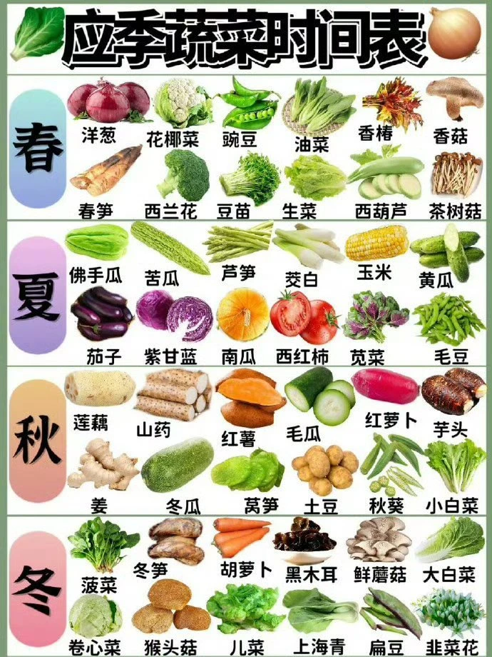 应季蔬菜时令表收藏起来给孩子最新鲜的营养