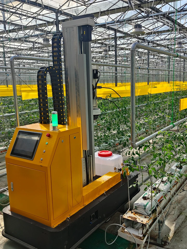 AI智慧植保系统，让蔬菜种植更轻松