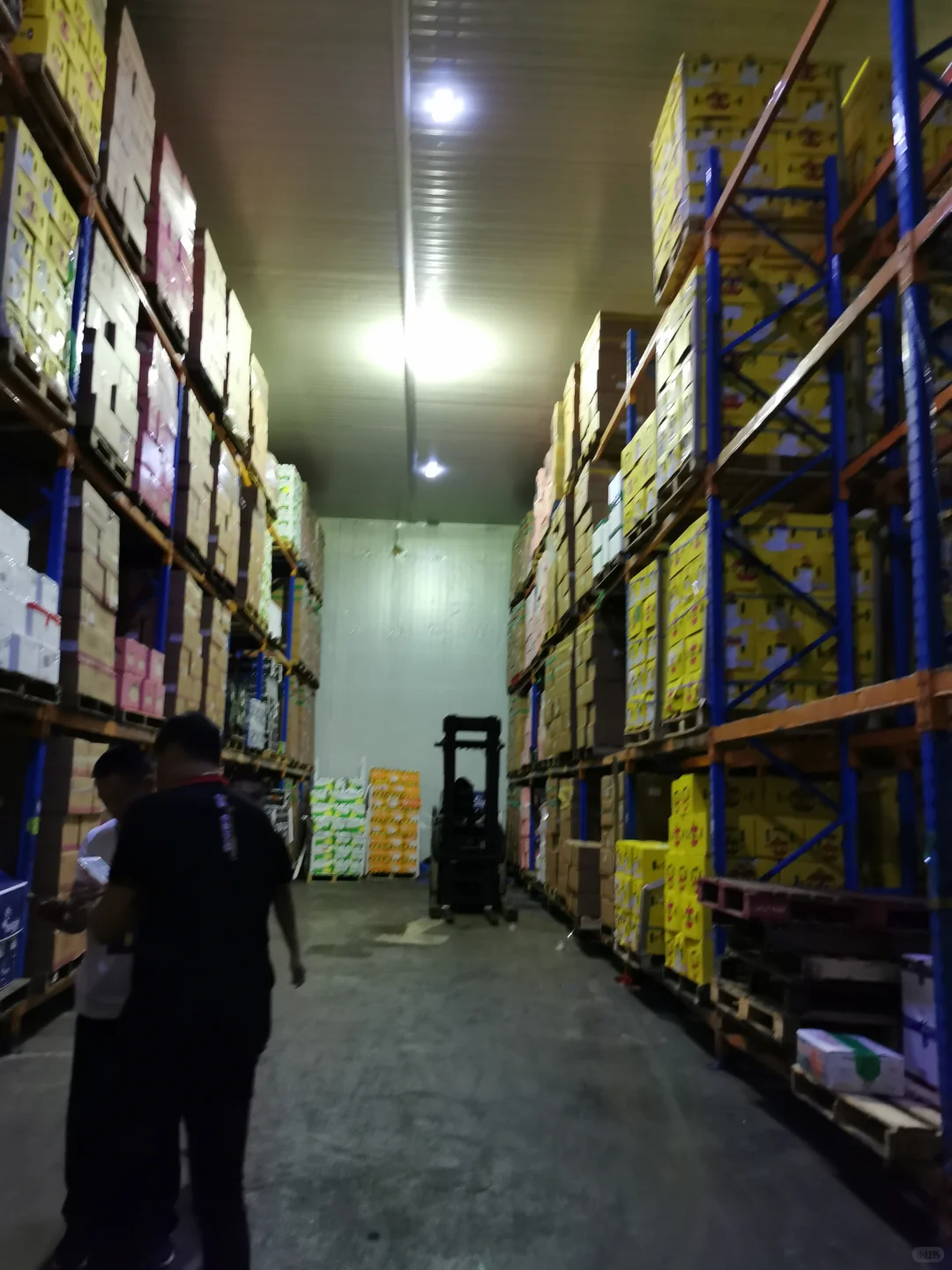 伟泰饭农产品供应链源头直供一站式配送