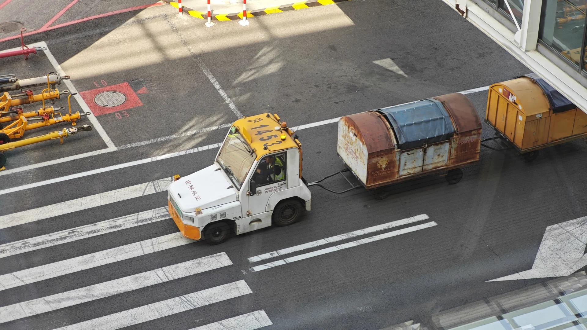 不是，没人觉得它真的超可爱的吗？！