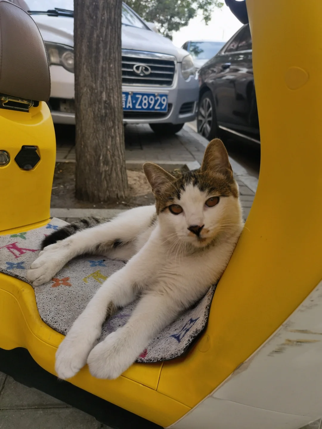 见识下省采购中心