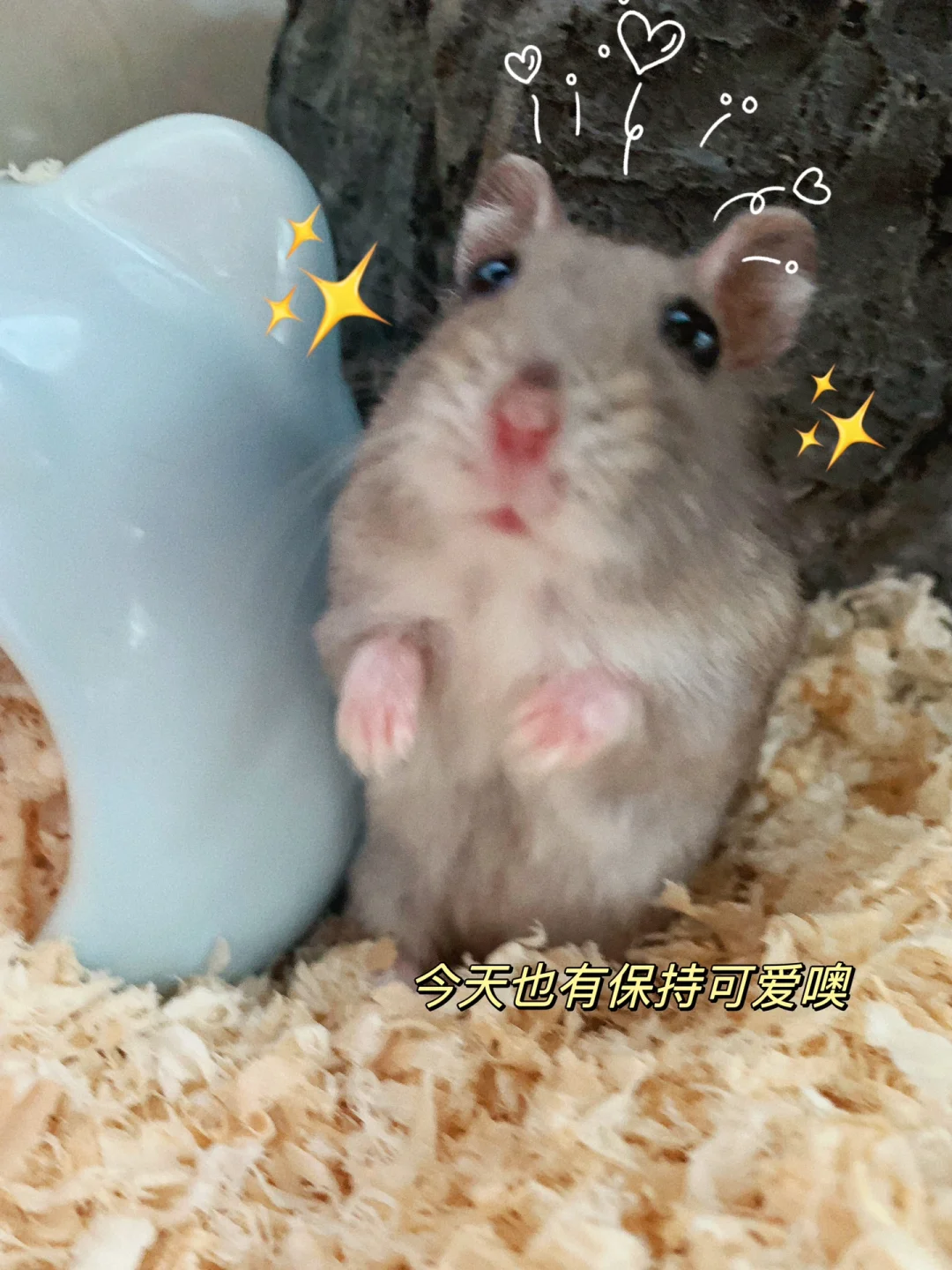 投标流程七步走