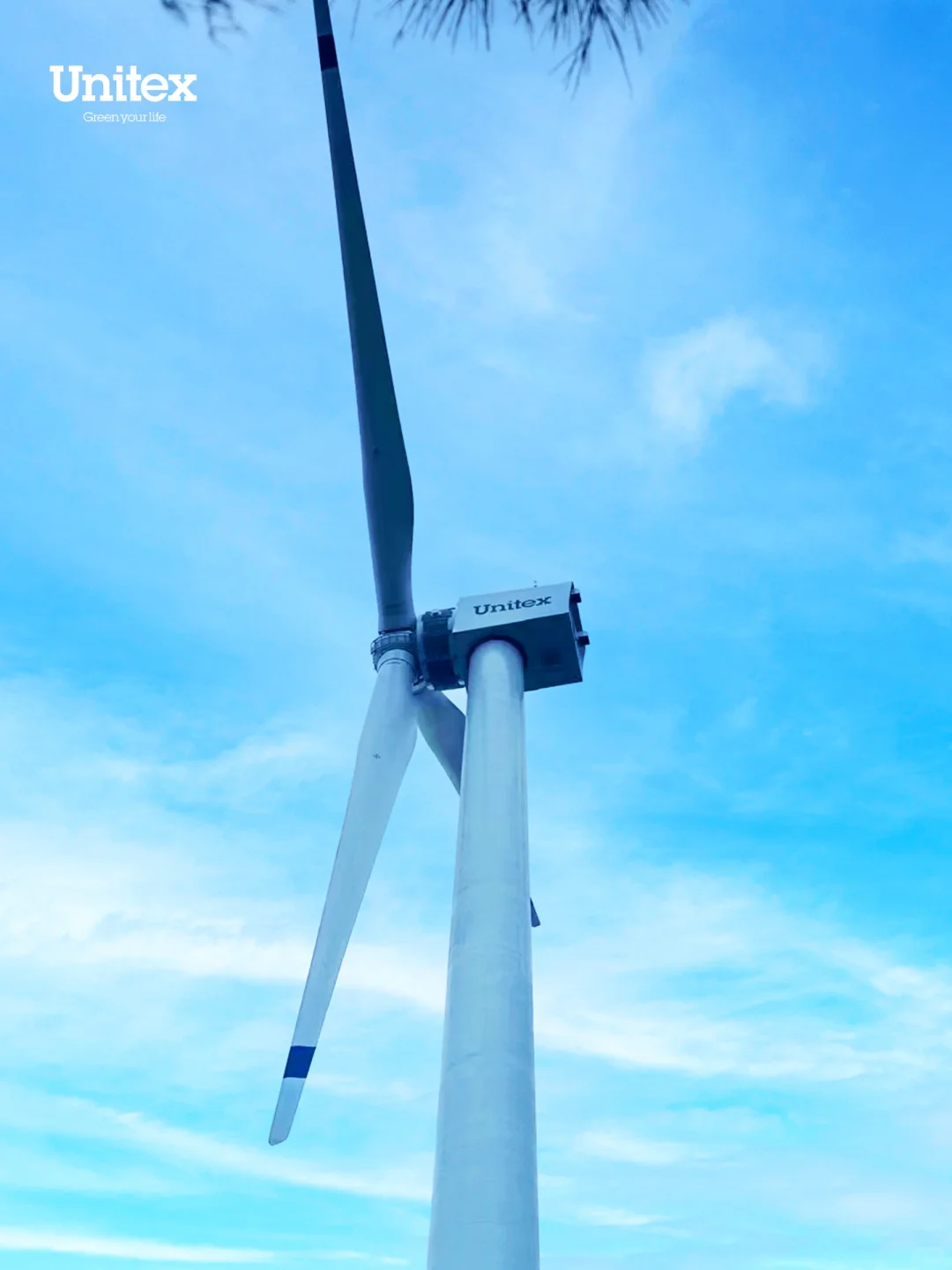 Unitex正式启动风力发电项目