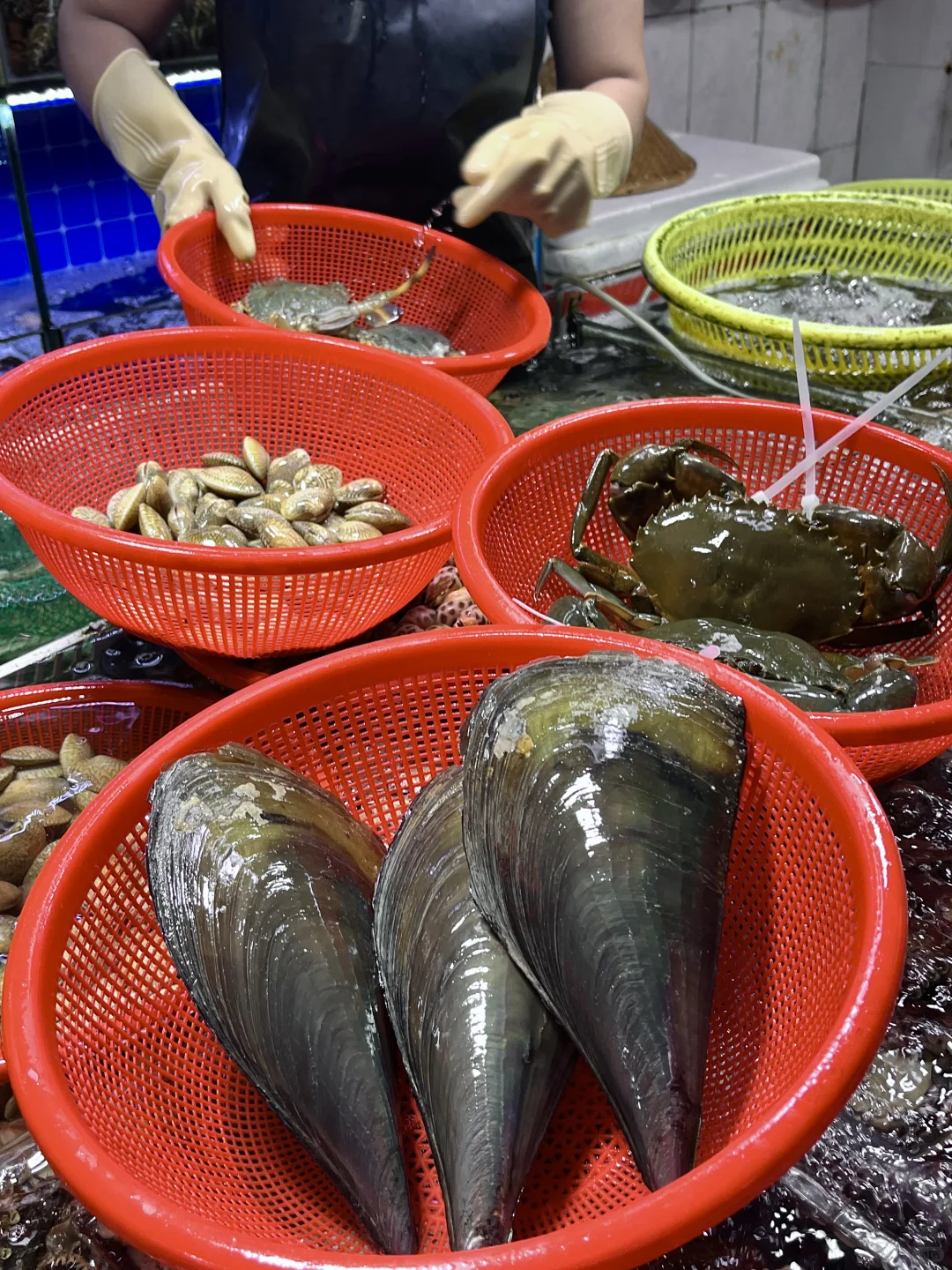 不踩雷！在三亚第二市场购鲜的全记录?