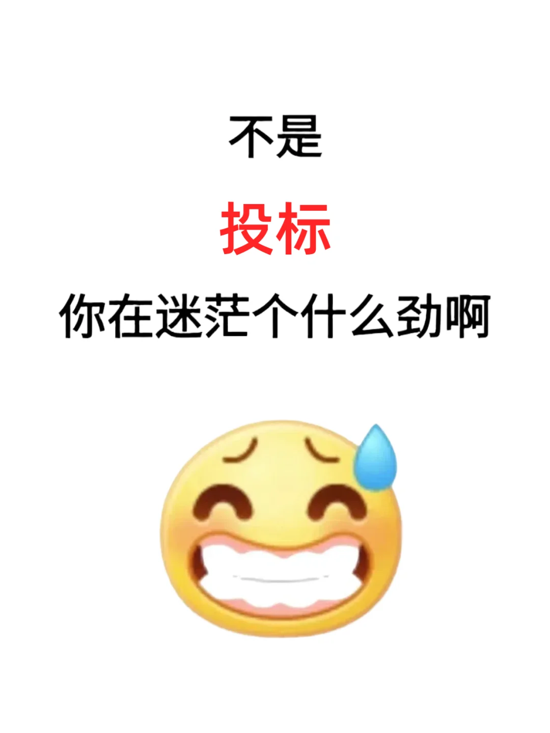 投标,你到底在迷茫个什么劲啊?