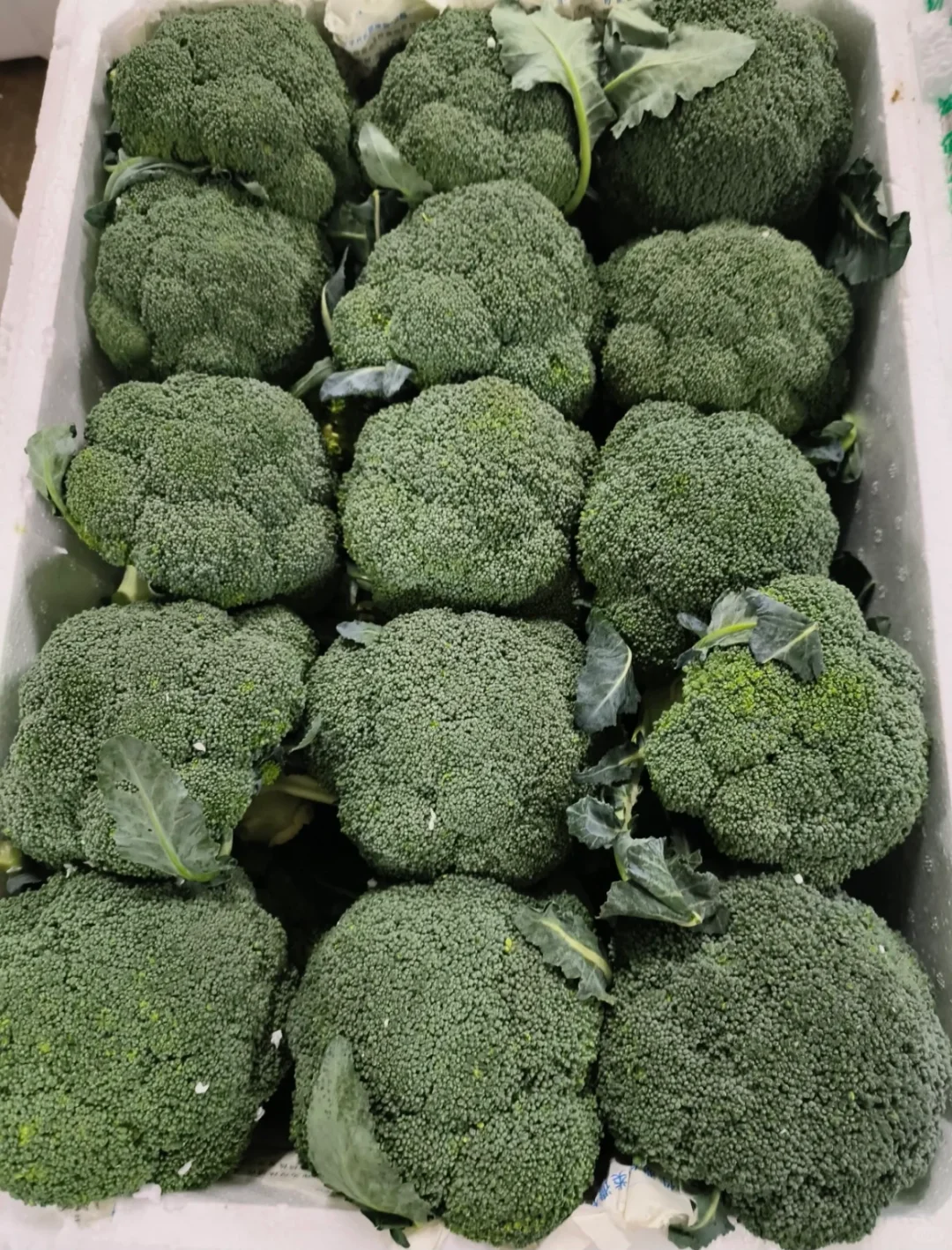 珠海餐饮食材配送，品质看得见！！