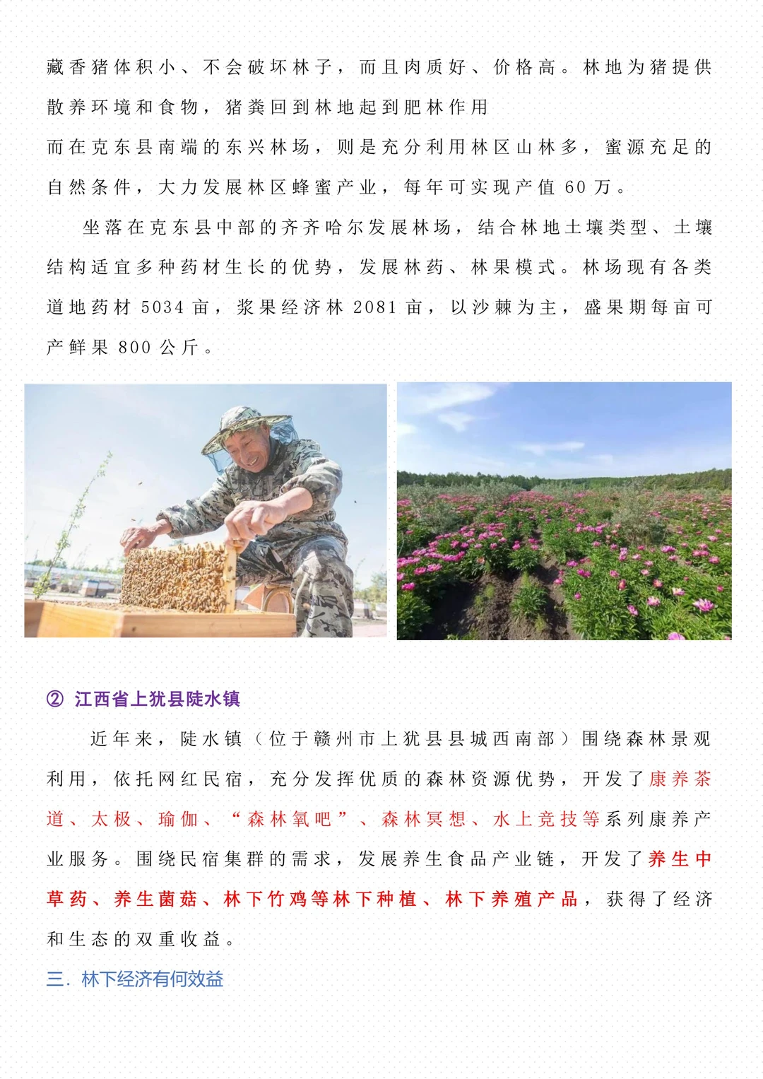 【地理微专题】--林下经济