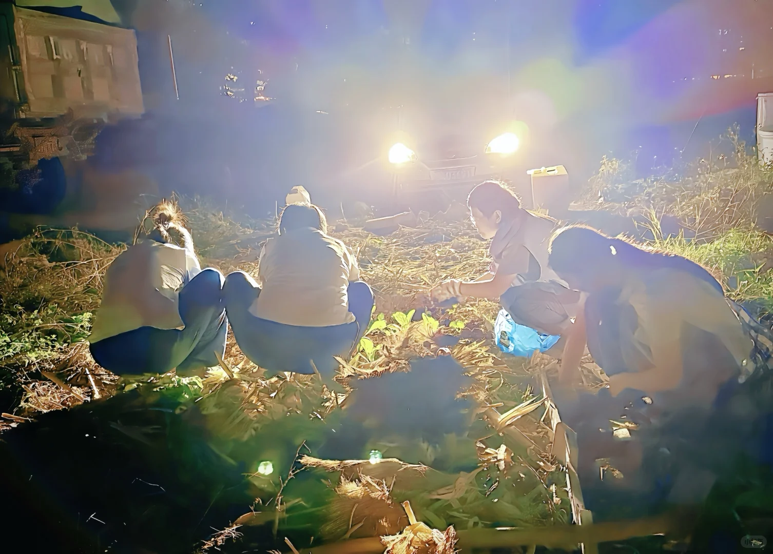 招募| 都市农夫.土壤修复工作坊，新手友好