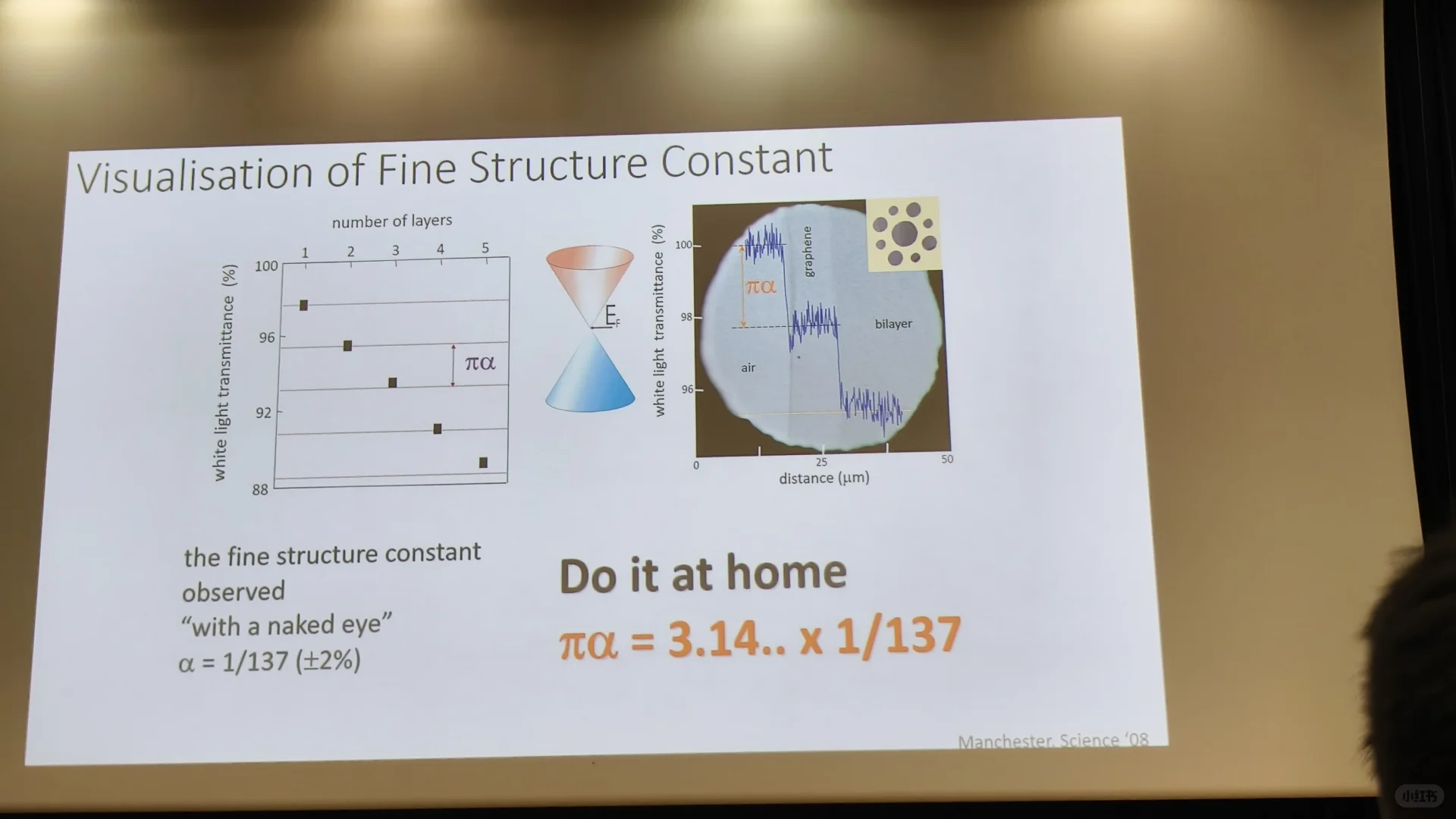 追星成功石墨烯开创者Prof. Novoselov