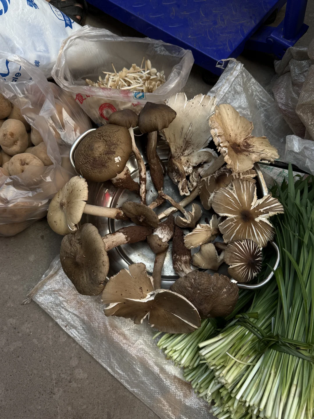 “靠山吃山：大山里这个季节吃啥…..”