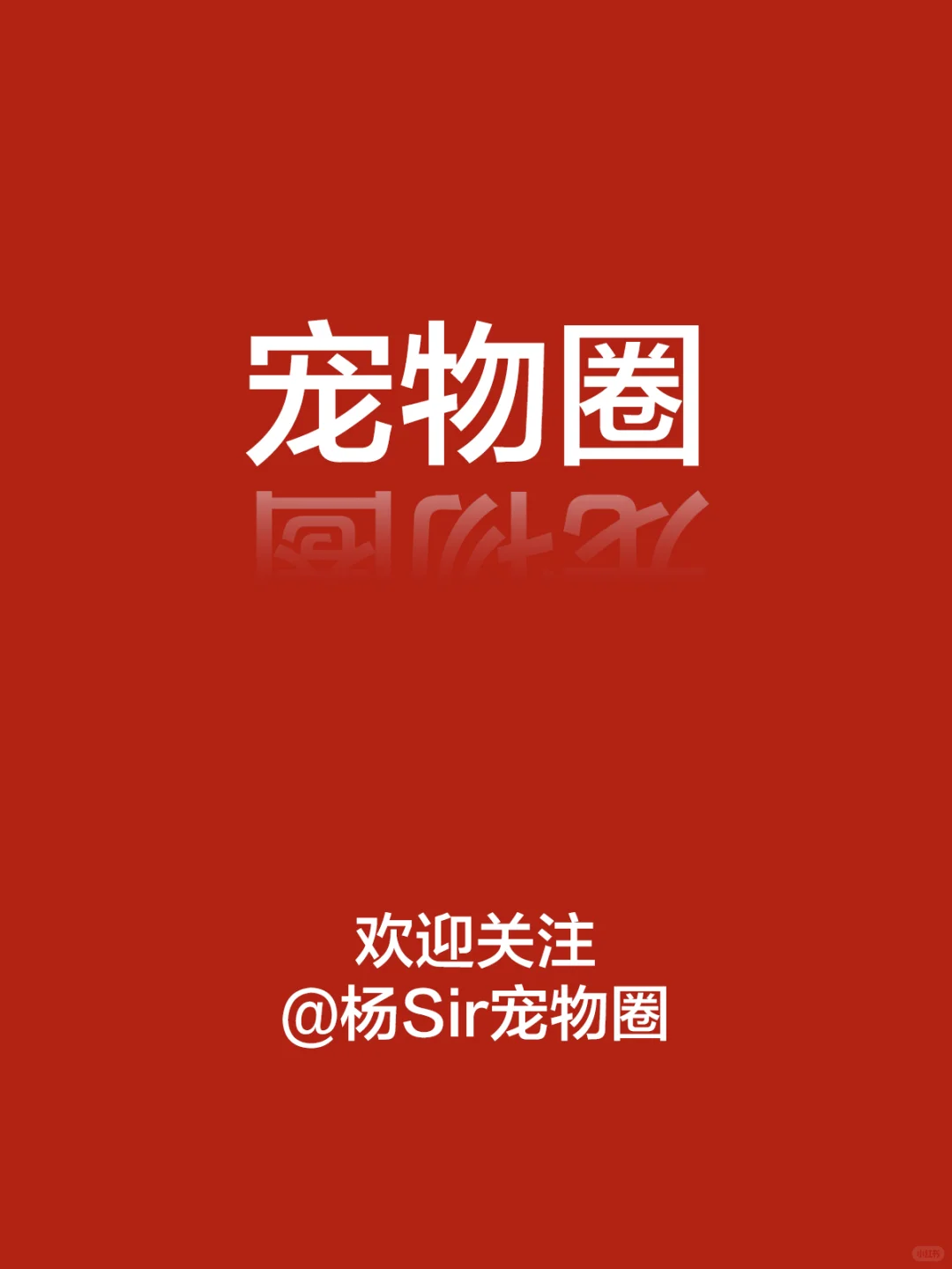 国货宠物新十强?你pick谁？