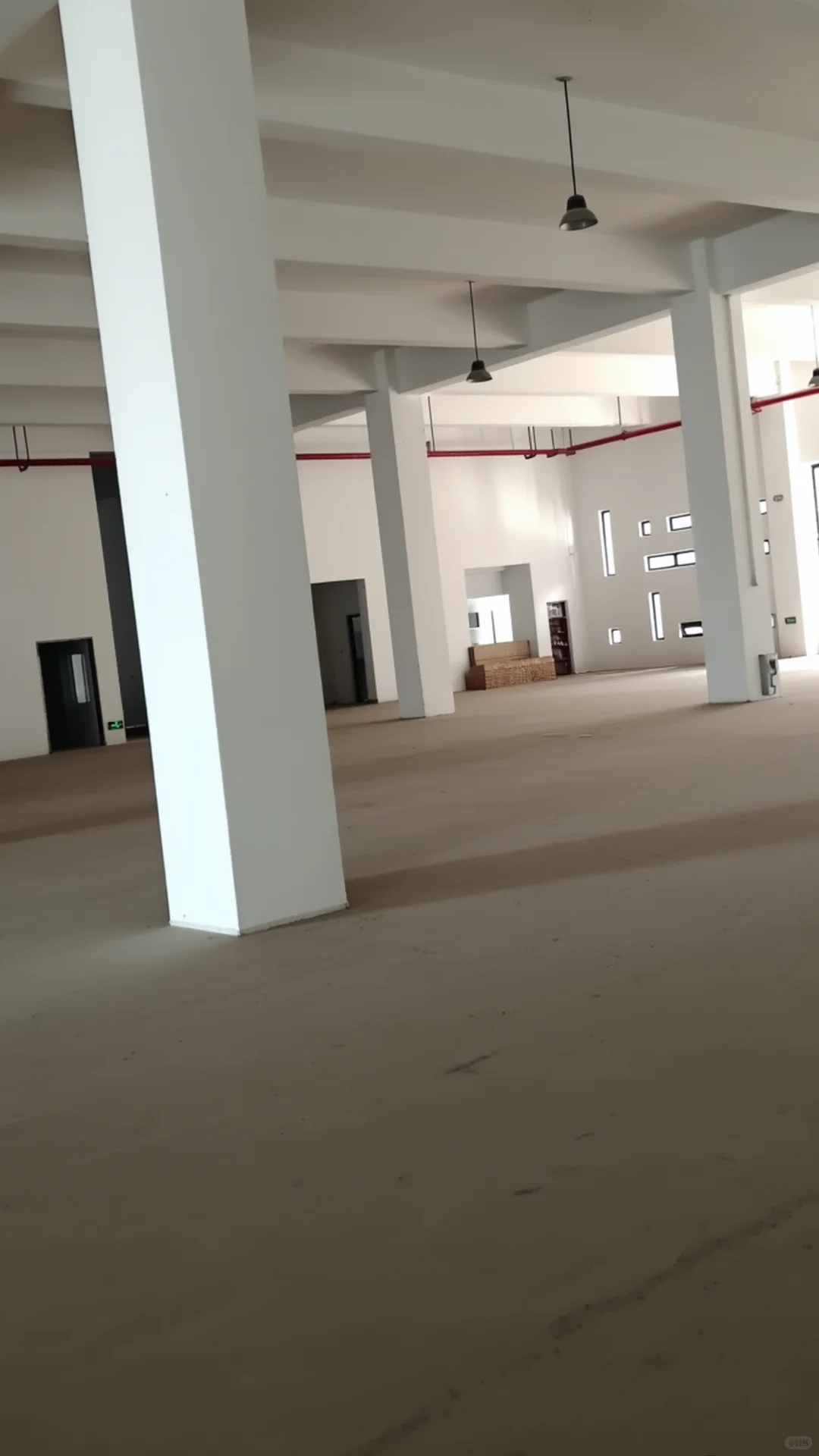 广东枫桦木运动体育地板招标