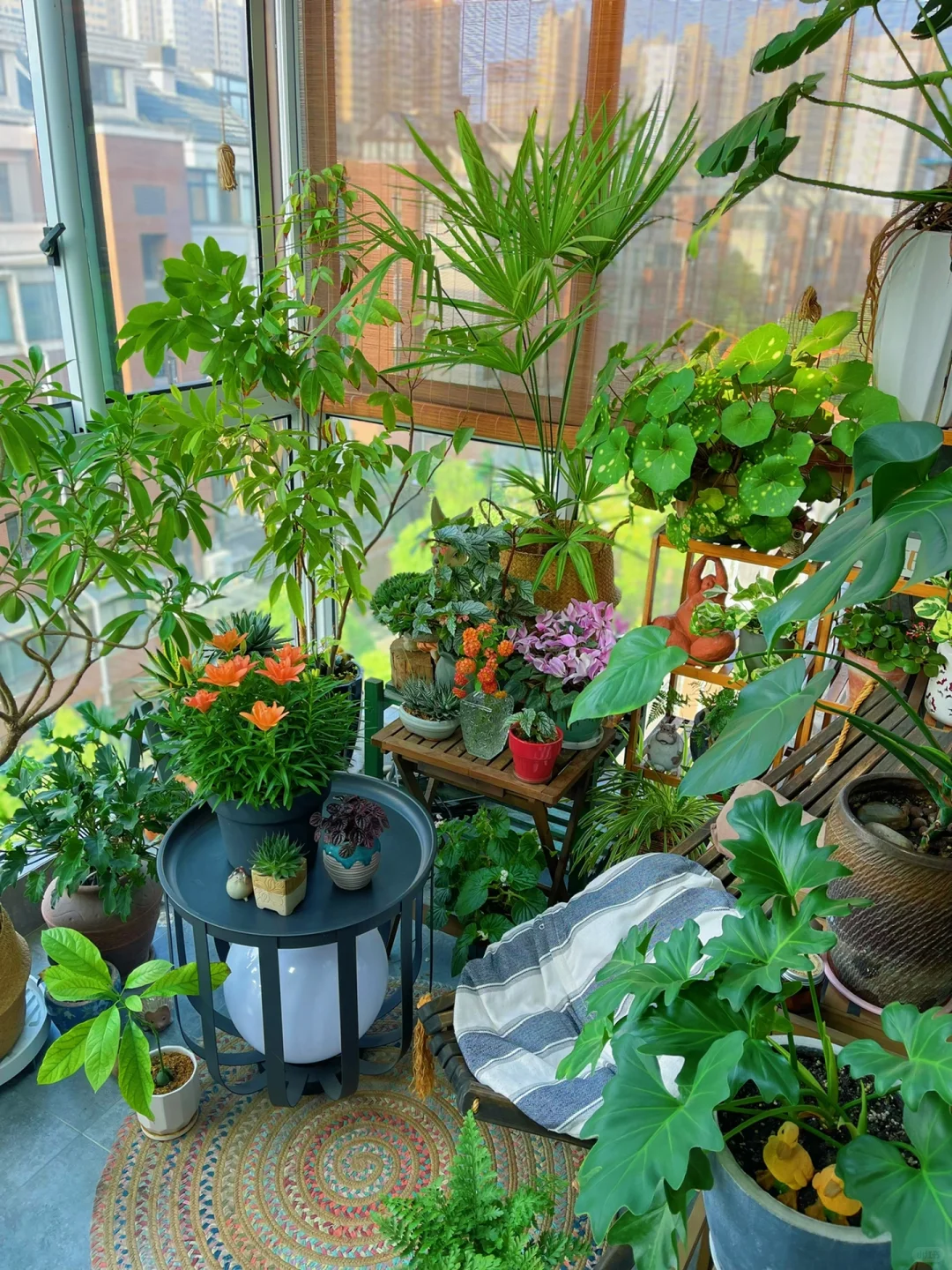 我的2023阳台小森林布置18图｜供参考