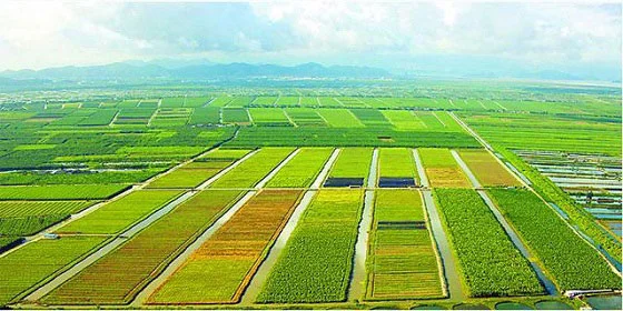 智慧农业应用领域：引领现代农业发展新篇章