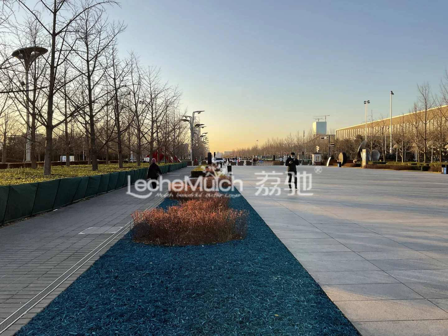 彩色有机覆盖物