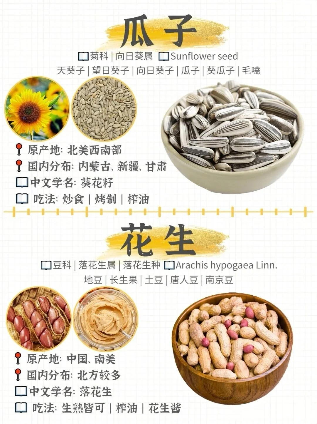 哪种坚果最好吃！坚果图鉴