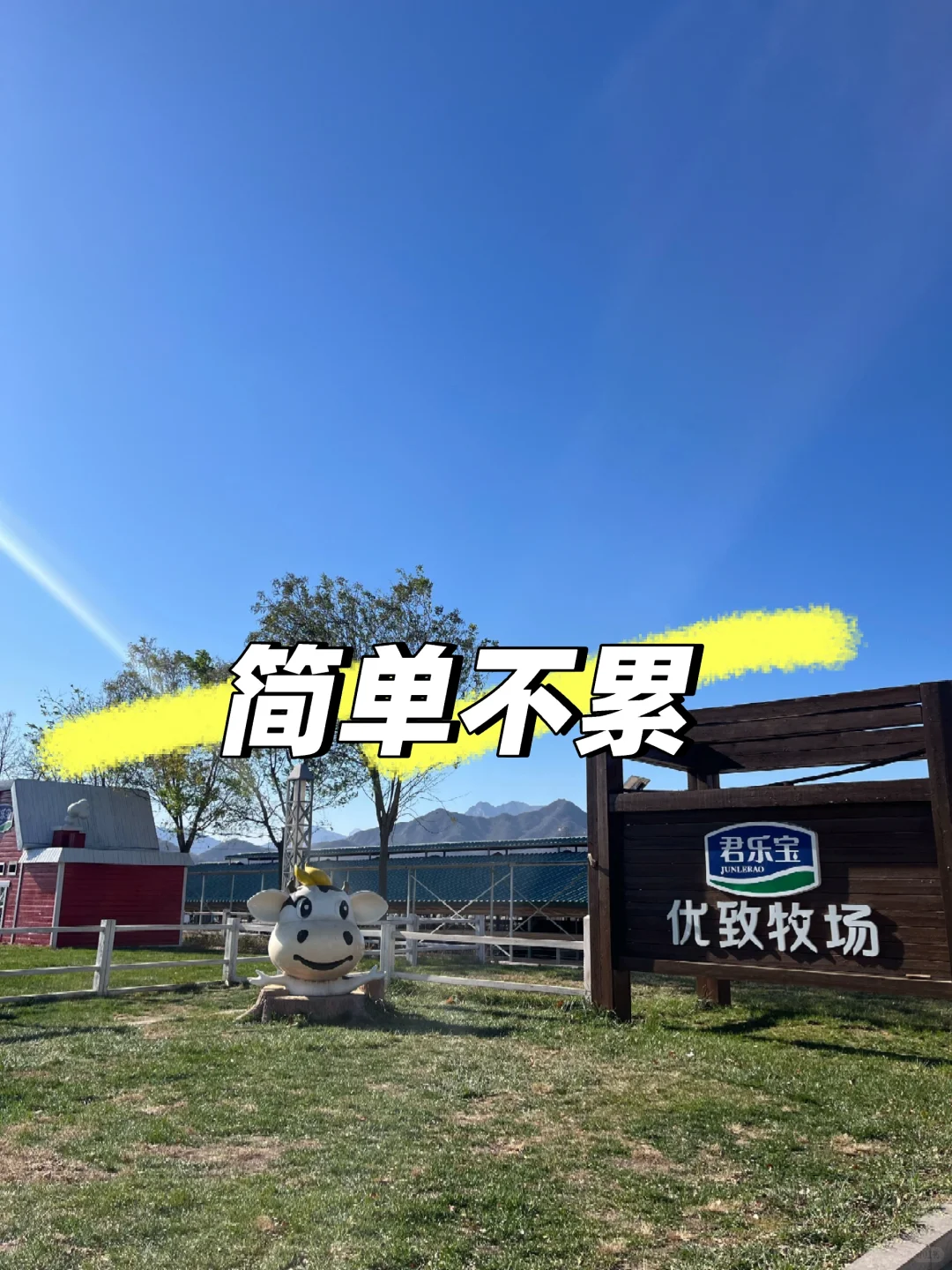 石家庄奶厂简单不累