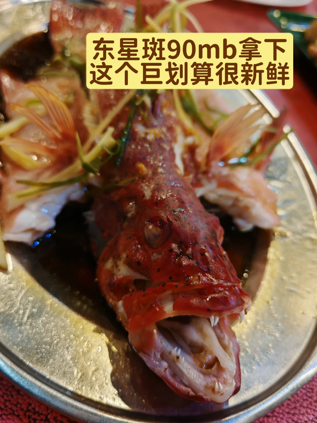 ?仙本那海鲜市场砍价⚔️终极教程