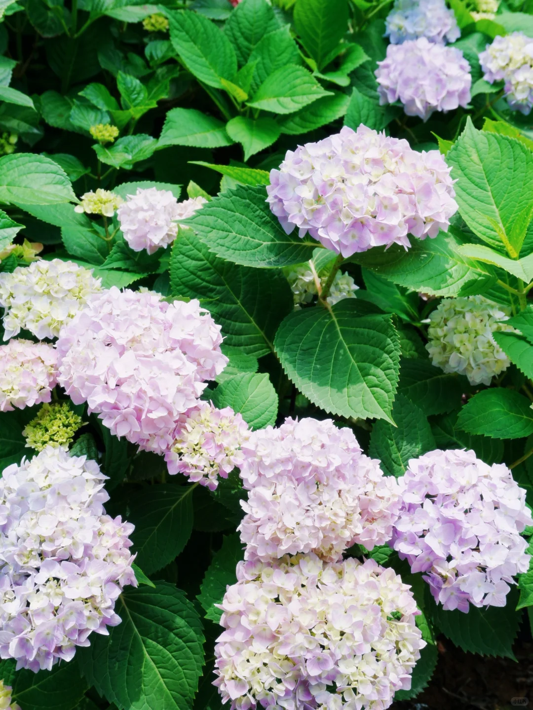 国企集团公司企业合规管理制度范本(收藏)