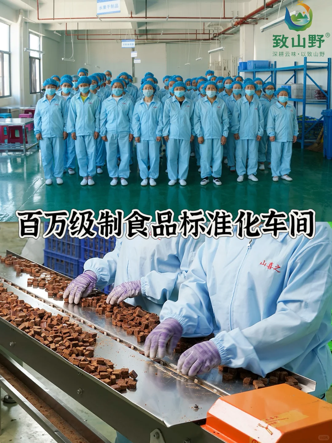 食品界的宝藏源头工厂被我找到了！！！