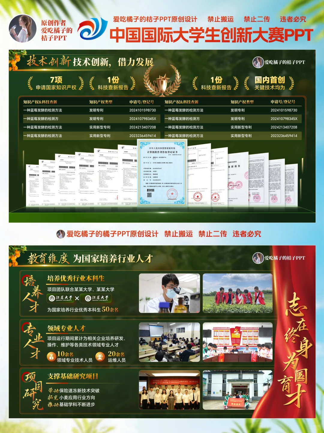 互联网➕大赛金奖红旅赛道乡村振新PPT模板