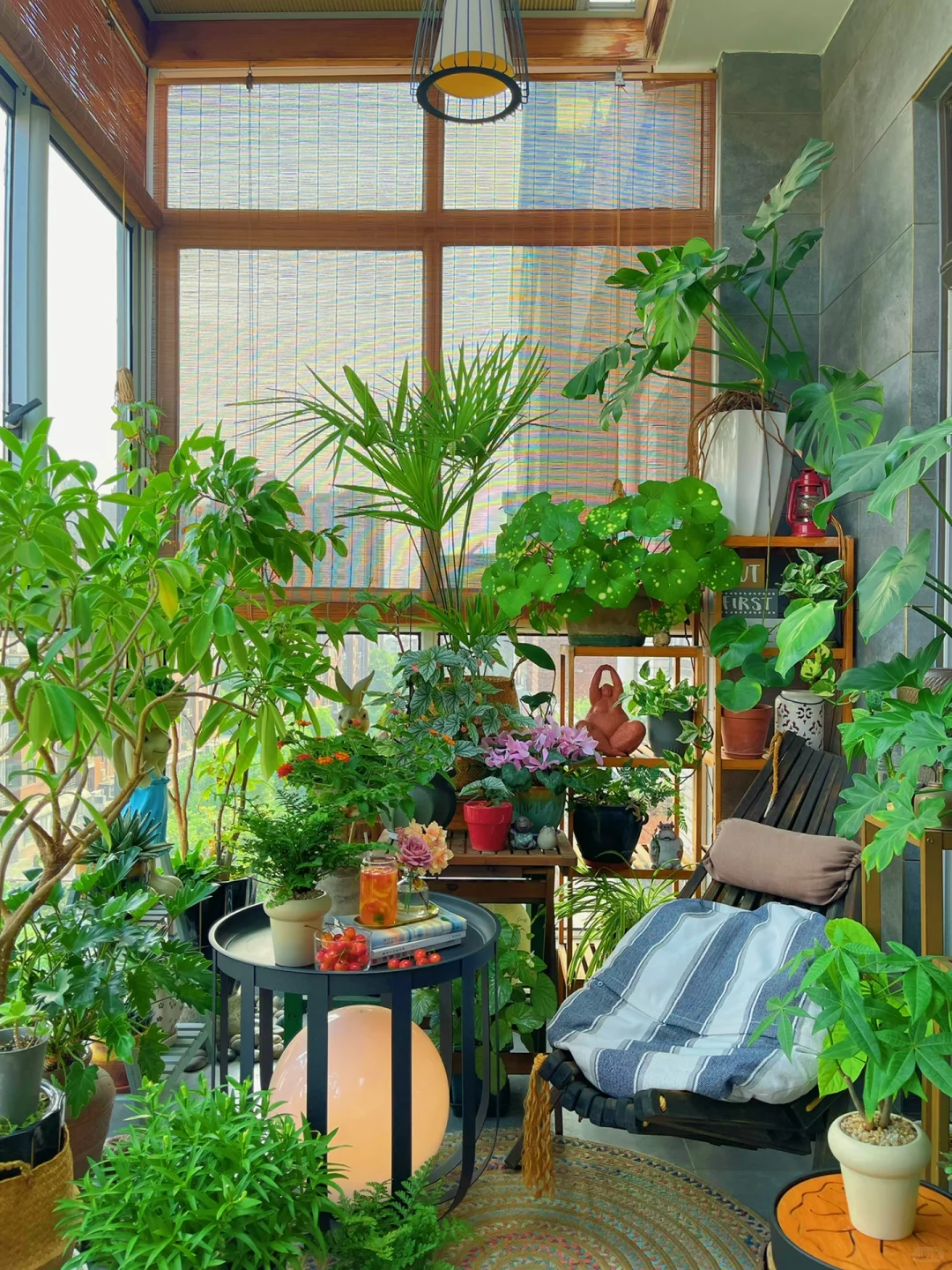 我的2023阳台小森林布置18图｜供参考