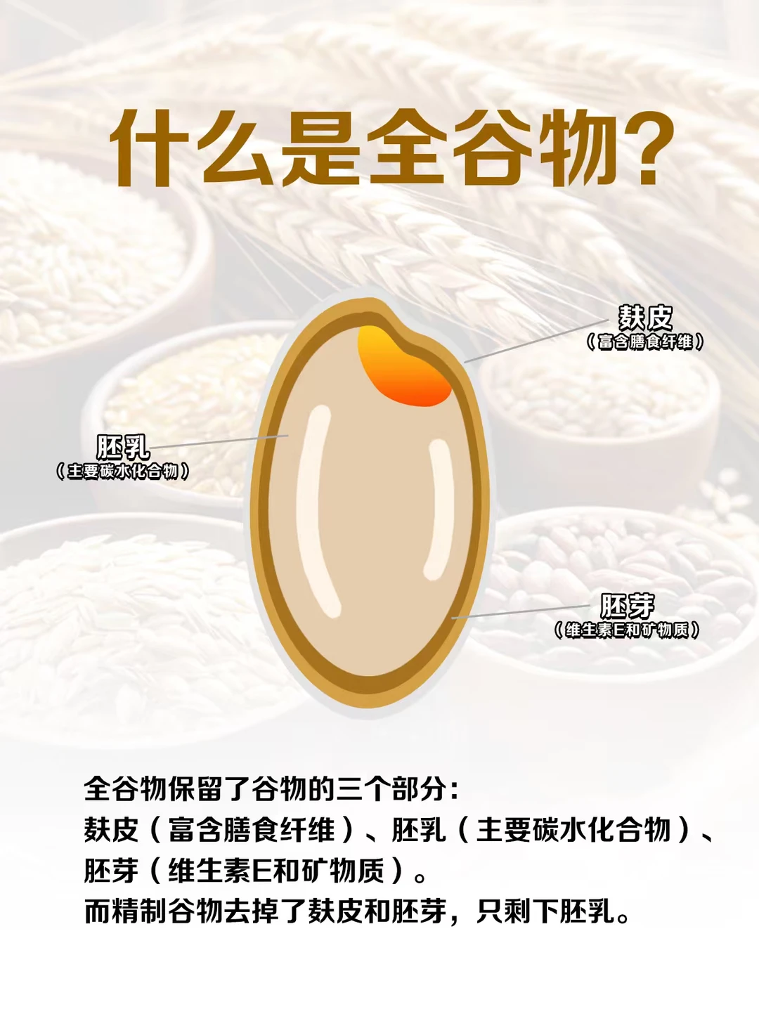全谷物VS精制谷物：营养差距竟然这么大！