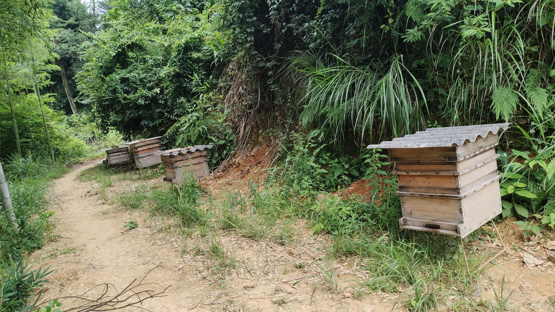 农村产业振兴 ,助农产品