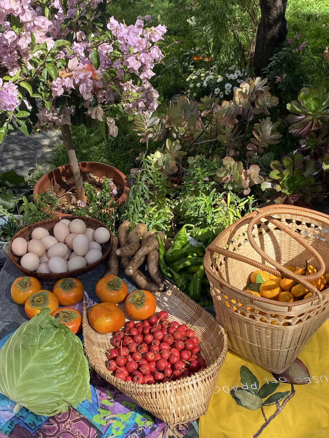 乡村市集逛不够?