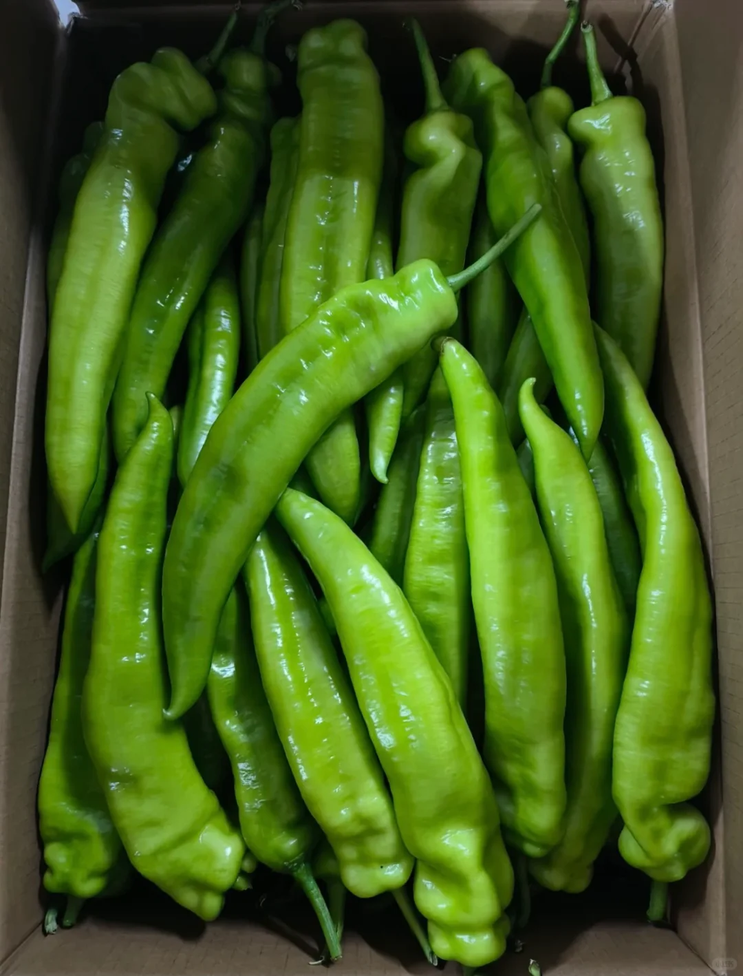 珠海餐饮食材配送，品质看得见！！