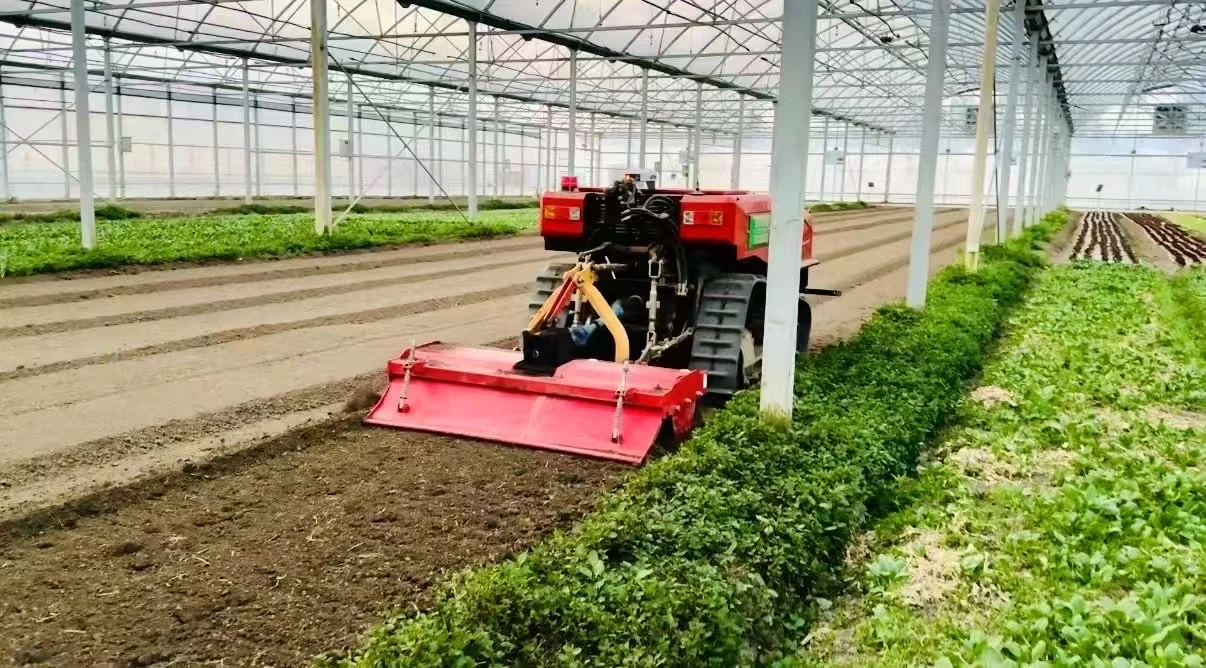 我们的无人生态农场