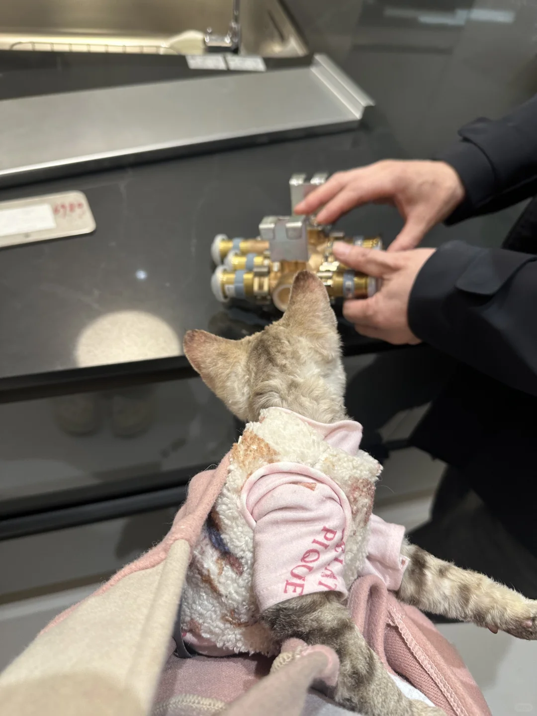 三口之家?计划启动！