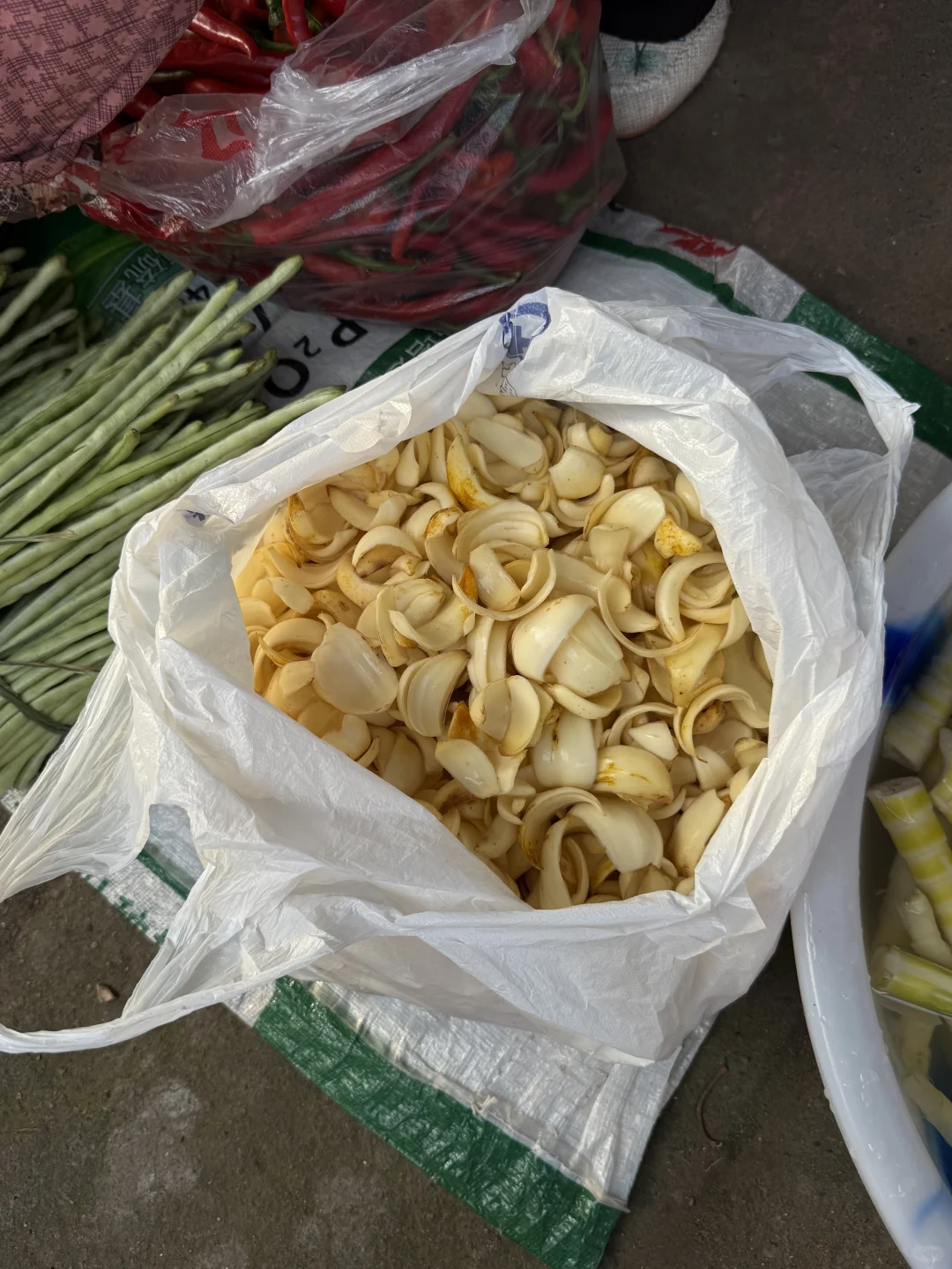 “靠山吃山：大山里这个季节吃啥…..”