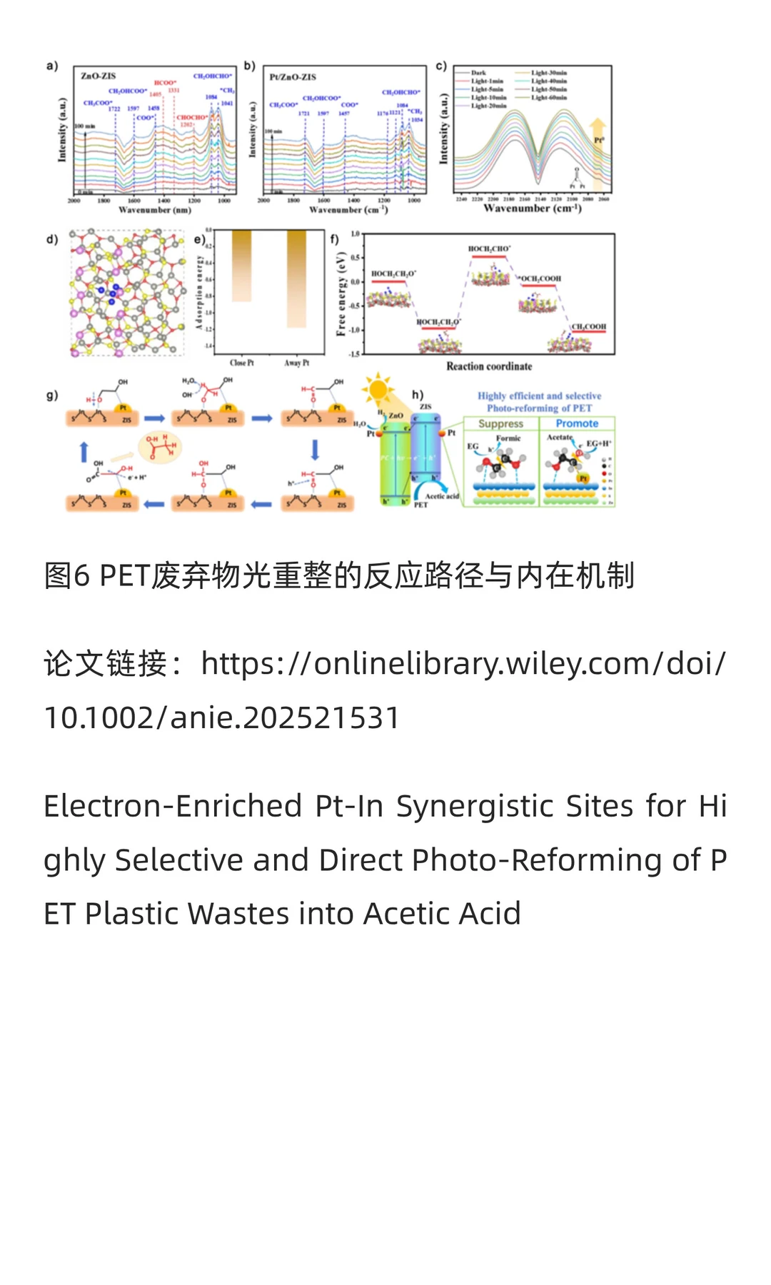 华南理工胡芸教授ACIE：PET塑料光重整