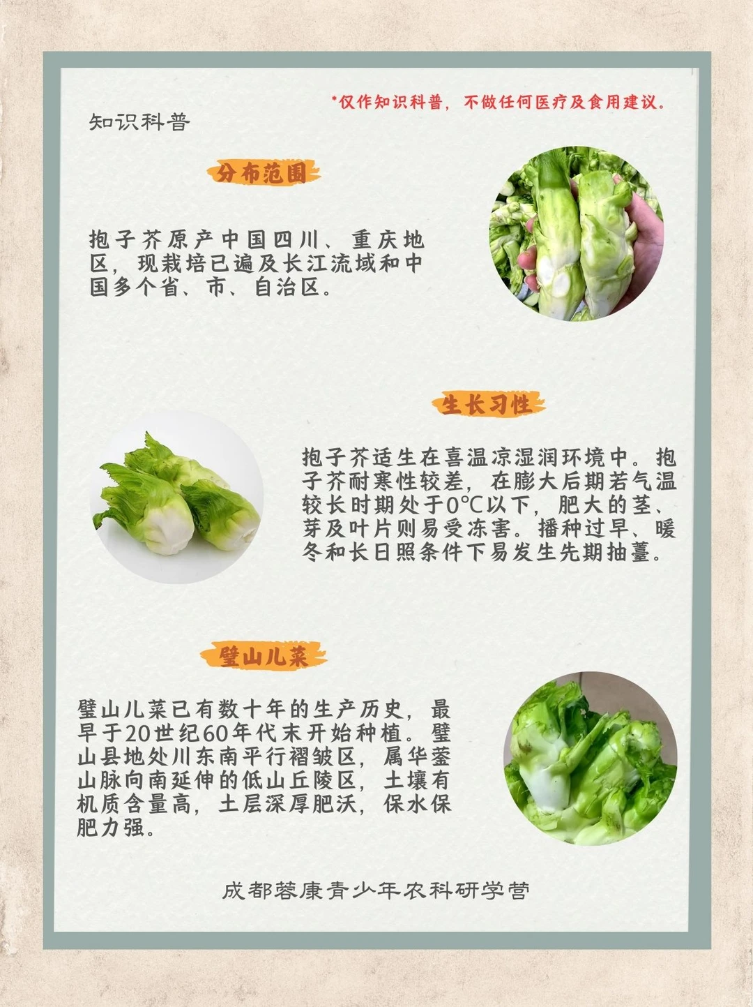 ［知识科普］儿菜