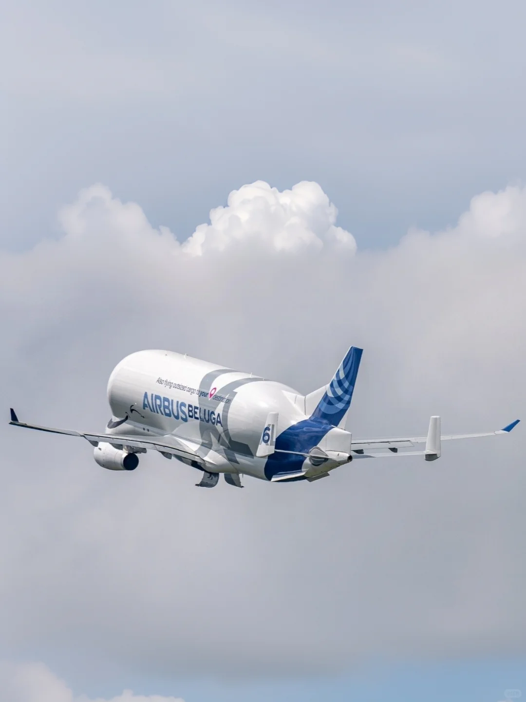 空客公司的6架超级“大白鲸”