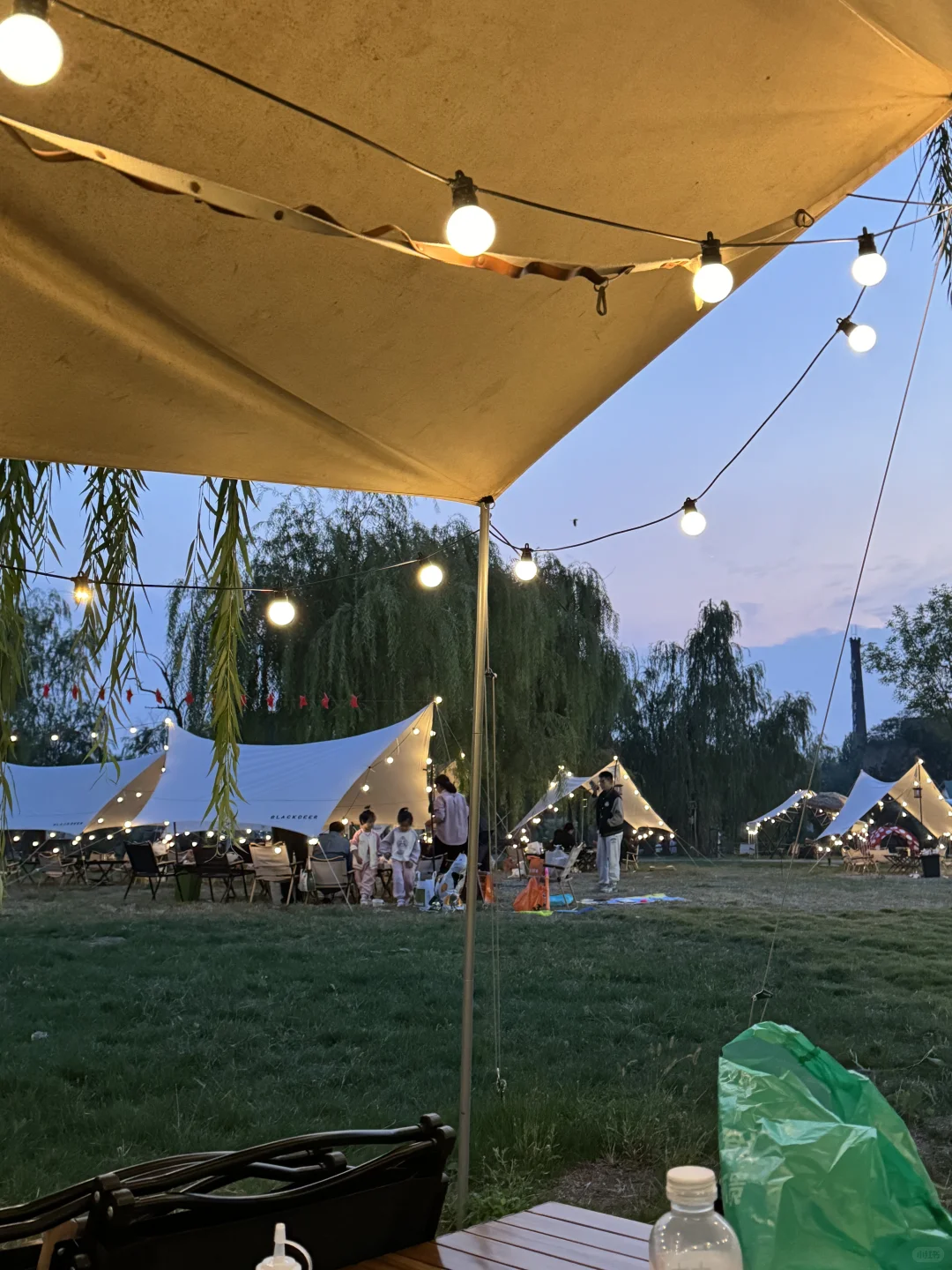 Plog｜00后厂二代的外贸日记-独立站运营