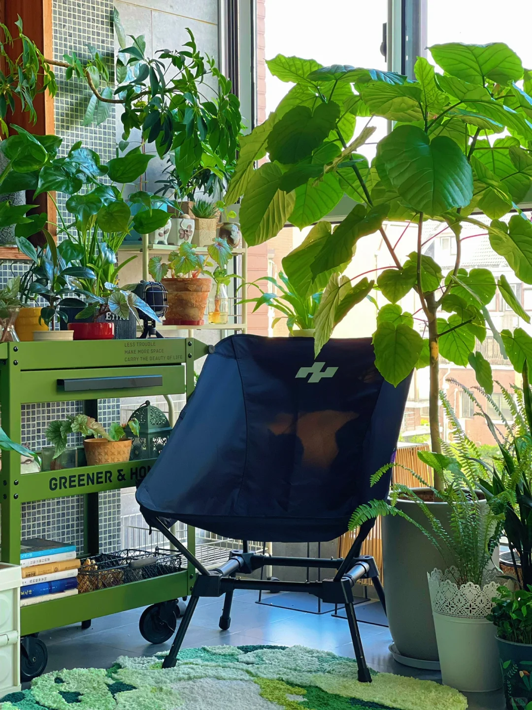 我的2023阳台小森林布置18图｜供参考