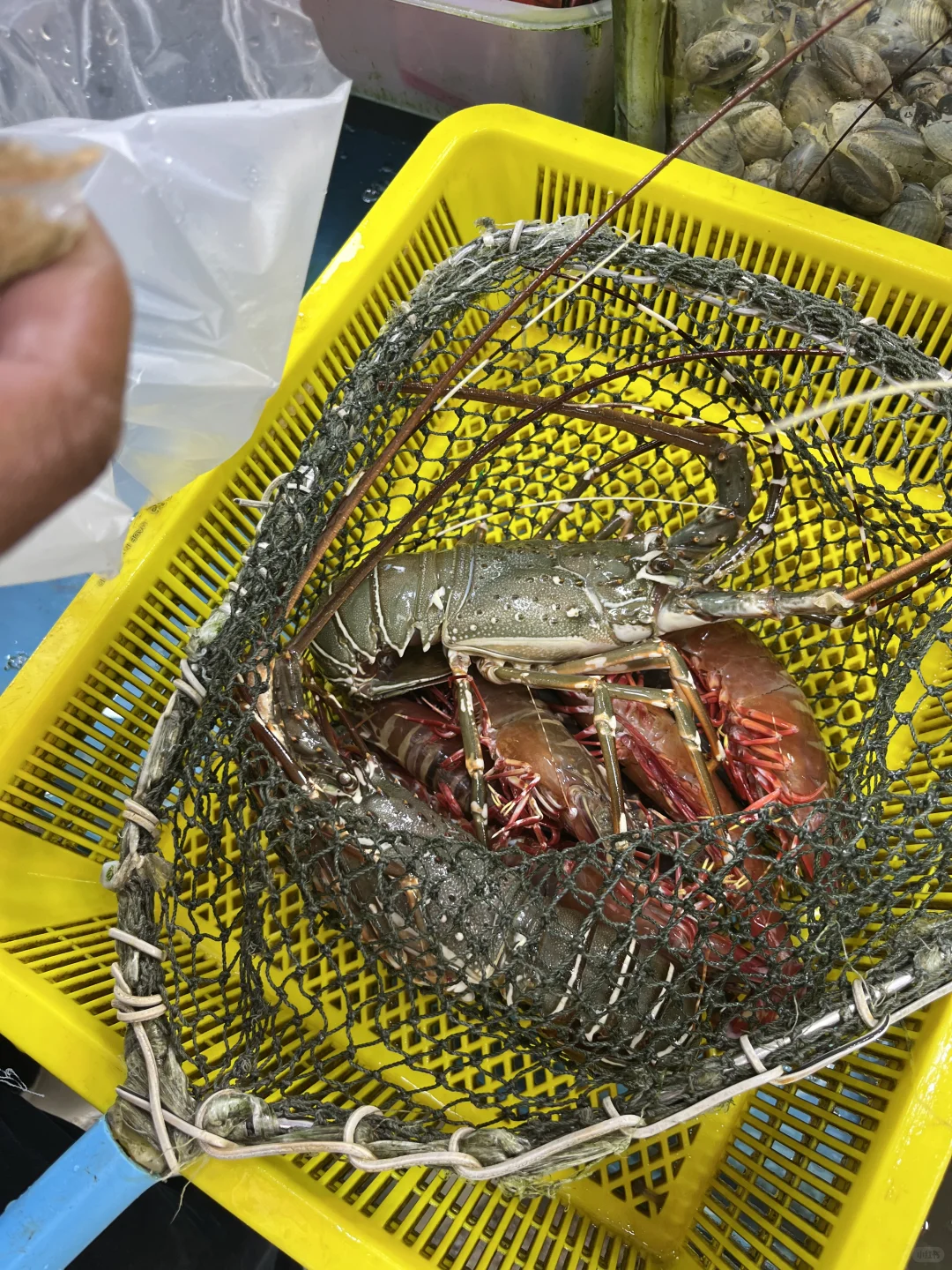 拉威海鲜市场不踩雷！超赞！！